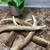 Elk Antler Dog Chews 5 thumbnail
