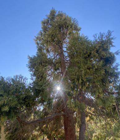 Mountain Living for Creative Kindred Spirit 1