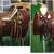 SADDLE & TACK  REPAIRS - CLEAN- RESTORE - RETAIL- Custom, Manufacturer 7 thumbnail