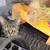 Found tabby cat 1 thumbnail
