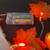 A little bit Fall/ a little bit Halloween 5 thumbnail