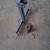 3-point Tractor Trailer Hitch 2 thumbnail