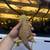 Bearded dragon 2 thumbnail