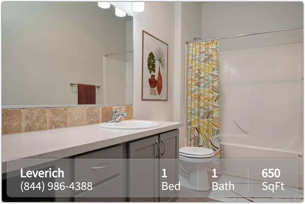 $1,500 / 1hab - 650ft2 - ¡Simplemente impresionante! Espacioso de 1 habitación, 1 baño con mucha luz (Vancouver - Downtown Vancouver)63831607990913122