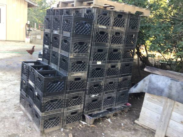 Storage crates 1