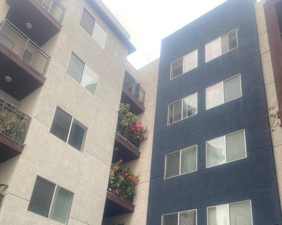 $1,349 / 1br - 495ft2 - 🏡 San Lucas 62+ Apartments – Central Location, Comfortable Living (1221 W 7th St, Los Angeles, CA)63857623620097123