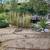FREE Pond Plants 1 thumbnail