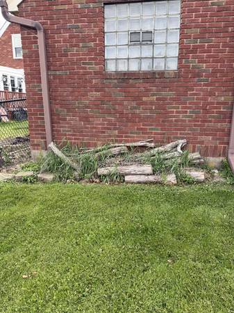 Free wood! 1