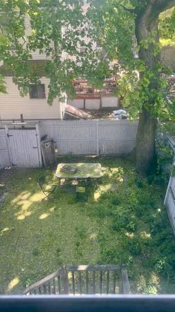 $975 5 habitaciones - Buscando dos compañeros de piso más en Allston inferior (Allston)63655366490755124
