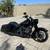 2019 HD Road King Special 3 thumbnail