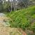 RAY'S LANDSCAPING 🇺🇸🇺🇸🌷🌲la, Jolla La mesa Check out our photos 18 thumbnail