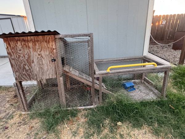 Cage 1