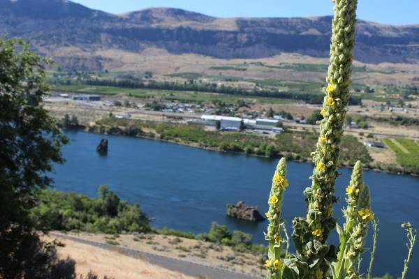 $2,800,000 / 1751112ft2 - Increíble oportunidad para construir su hogar soñado o desarrollar 40.200 ac (East Wenatchee)63743441331201122