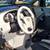 2014 Toyota Sienna SE 8 Passenger 4dr Mini Van 8 thumbnail