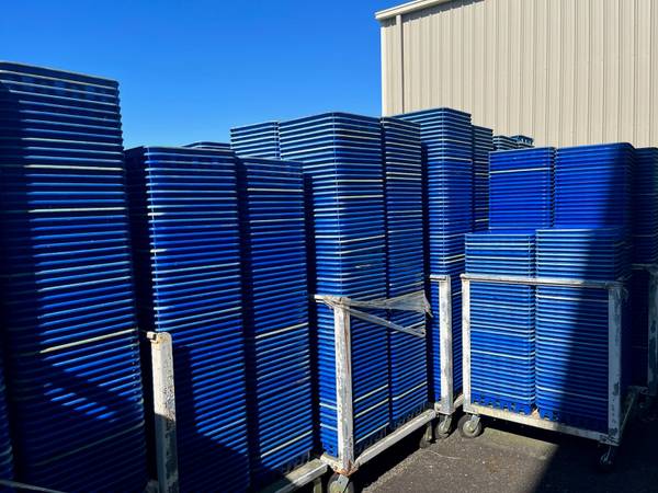 Lattice Bottom Trays - $1 (Ferndale)63435780874241121