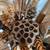 24"Asian Elder Figure + Woven Vase with Wooden Flowers & Reeds 8 thumbnail