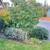 Professional Pruner 1 thumbnail
