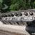corvette ls1 heads and intake - 1 thumbnail