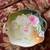 Beautiful Dish 1 thumbnail