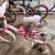 4 bicycles 2 thumbnail