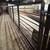 Gates / Fencing 1 thumbnail