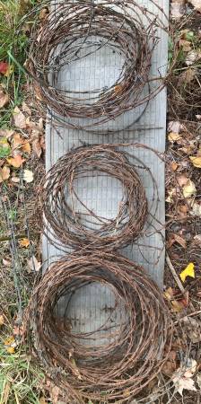 Old Barbed Wire 1