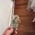 *** GE Dryer - Excellent Condition!!! 3 thumbnail