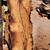 Large inventory of Mesquite Slabs **KILN DRIED = NO BUGS 5 thumbnail