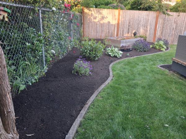 MS Landscaping 1