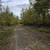 45.5 surveyed acres 10 thumbnail