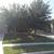 Fair price on trees 3 thumbnail
