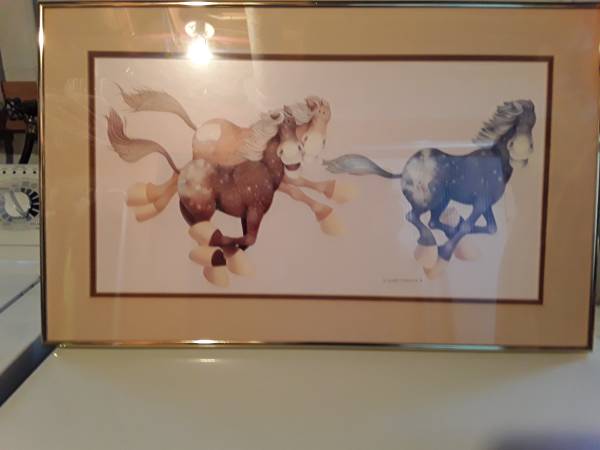 Galloping  Appaloosas Picture 1978 1