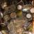 Large box of jars with lids Jars 1 thumbnail