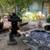 GorgeousAsianGardenAptTranquilSetting. ! 1621 5 9 thumbnail