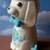 1979 FTD Bow Tie Puppy Vase 3 thumbnail
