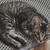 Kitten looking for Forever Home 3 thumbnail