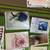 Brand new cards about 150 7 thumbnail