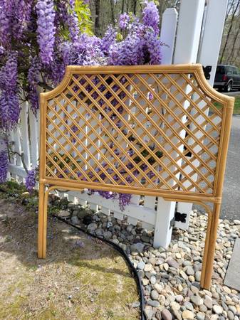 Bamboo Trellis 1