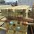 # 1 GRADE PRESSURE TREATED 4X4X8FT 6 thumbnail