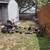 Yard/garage sale! 11 thumbnail