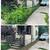 🍁🍁All Season lawn care…FALL LEAF CLEAN UP, Edging, Mowing, weeding 8 thumbnail