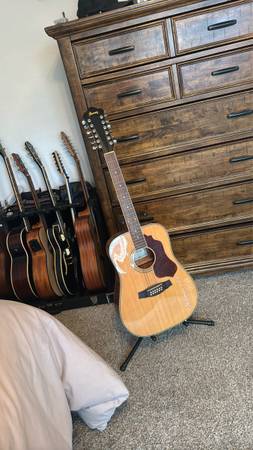 Ibanez 12 string acoustic guitar 1