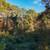 2.8 Acres in Warrior, AL | Buildable Lot | Utilities at Road 6 thumbnail