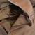Motorcycle (Real) Leather Jacket "Thinsulate" & Vest - Xclnt Cond 5 thumbnail