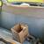 1965 Saab 96 2-Stroke 7 thumbnail