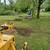 Stump & tree removal 7 thumbnail