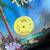 Disco 12” singles mint 2 thumbnail