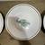 Williams Sonoma Herbs Botanical Pasta Salad Bowls - Set of 8 Made in Portugal 5 thumbnail
