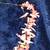 Coral Necklace Hawaiian 5 thumbnail