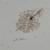 Antique Wash Basin & Pitcher Set Floral Transferware By Edwin Bennett 8 thumbnail